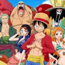 One Piece ecran